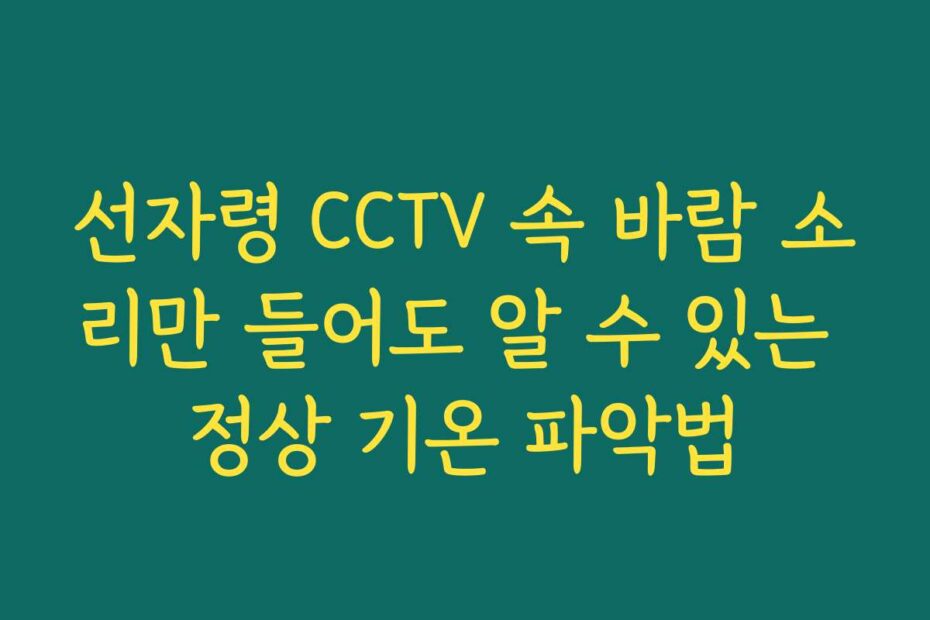 선자령 CCTV 속 바람 소리만 들어도 알 수 있는 정상 기온 파악법