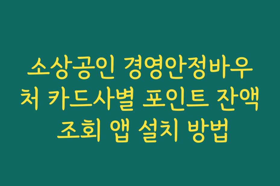 소상공인 경영안정바우처 카드사별 포인트 잔액 조회 앱 설치 방법