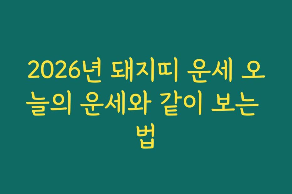 2026년 돼지띠 운세 오늘의 운세와 같이 보는 법