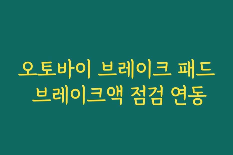 오토바이 브레이크 패드 브레이크액 점검 연동