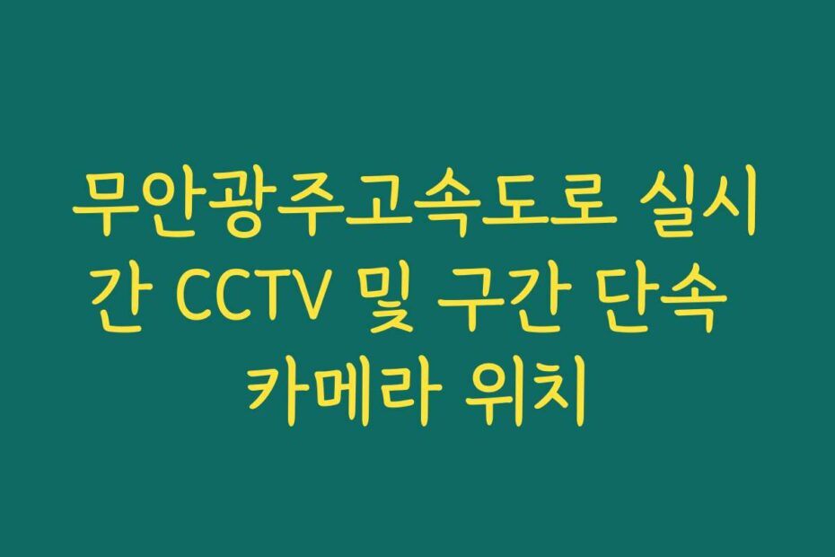 무안광주고속도로 실시간 CCTV 및 구간 단속 카메라 위치