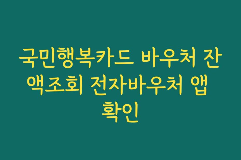 국민행복카드 바우처 잔액조회 전자바우처 앱 확인