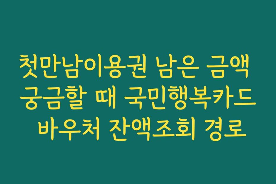 첫만남이용권 남은 금액 궁금할 때 국민행복카드 바우처 잔액조회 경로