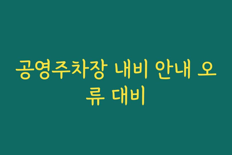 공영주차장 내비 안내 오류 대비