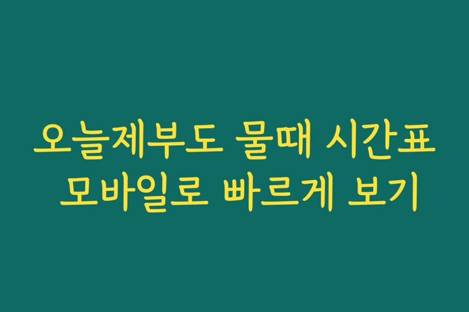 오늘제부도 물때 시간표 모바일로 빠르게 보기