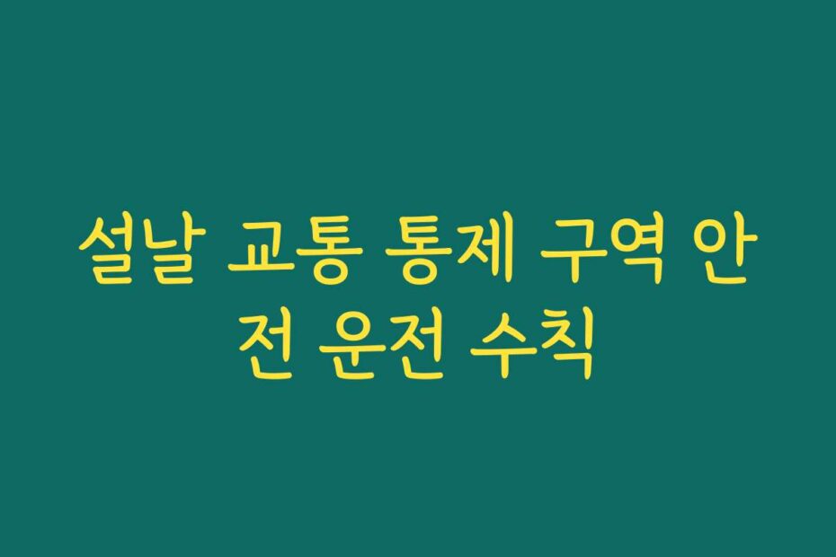 설날 교통 통제 구역 안전 운전 수칙