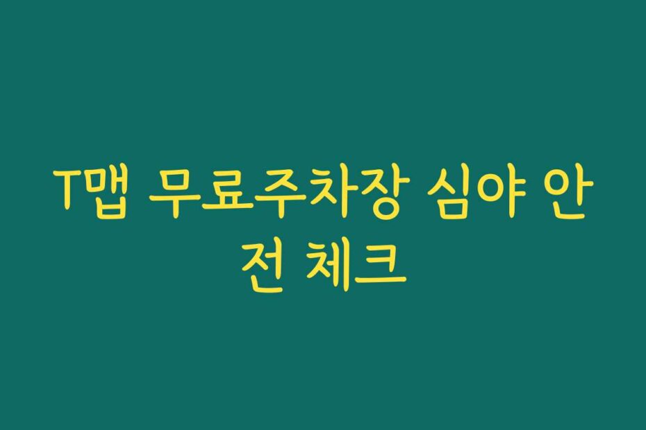 T맵 무료주차장 심야 안전 체크