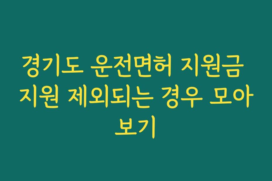 경기도 운전면허 지원금 지원 제외되는 경우 모아보기
