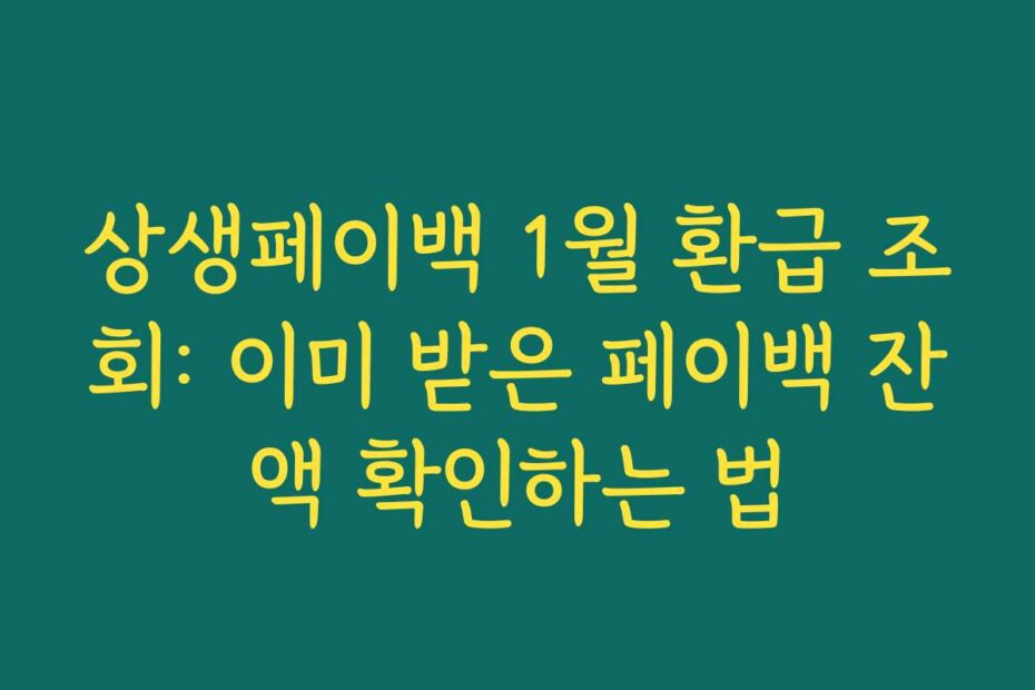 상생페이백 1월 환급 조회: 이미 받은 페이백 잔액 확인하는 법