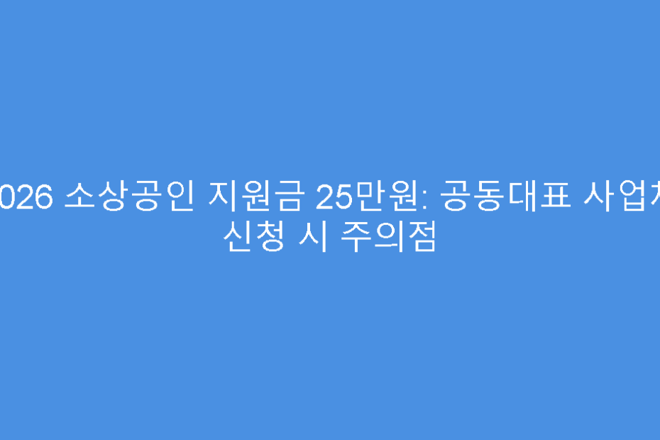2026 소상공인 지원금 25만원: 공동대표 사업체 신청 시 주의점