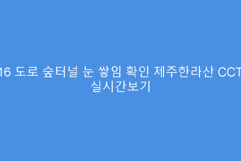 516 도로 숲터널 눈 쌓임 확인 제주한라산 CCTV 실시간보기