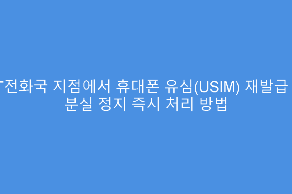 KT전화국 지점에서 휴대폰 유심(USIM) 재발급 및 분실 정지 즉시 처리 방법