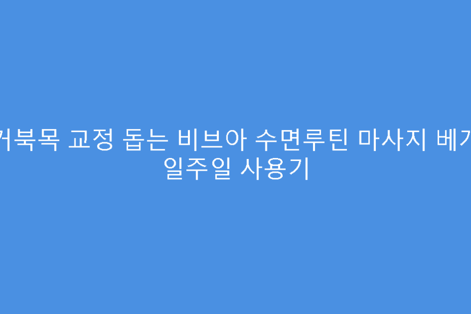거북목 교정 돕는 비브아 수면루틴 마사지 베개 일주일 사용기