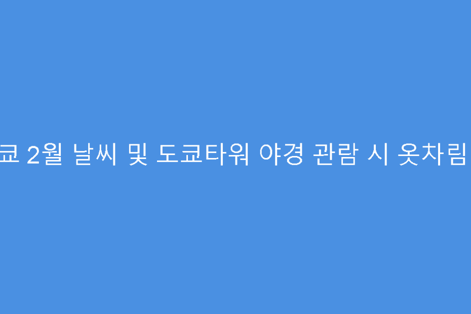 도쿄 2월 날씨 및 도쿄타워 야경 관람 시 옷차림 팁