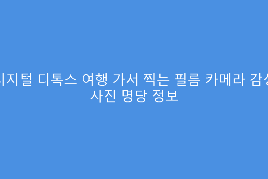 디지털 디톡스 여행 가서 찍는 필름 카메라 감성 사진 명당 정보
