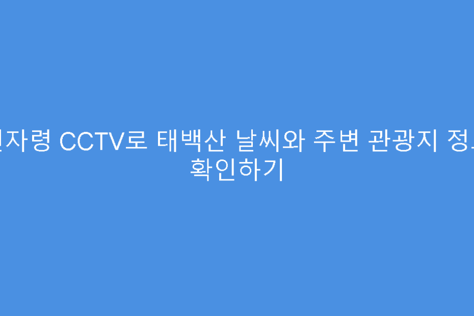 선자령 CCTV로 태백산 날씨와 주변 관광지 정보 확인하기