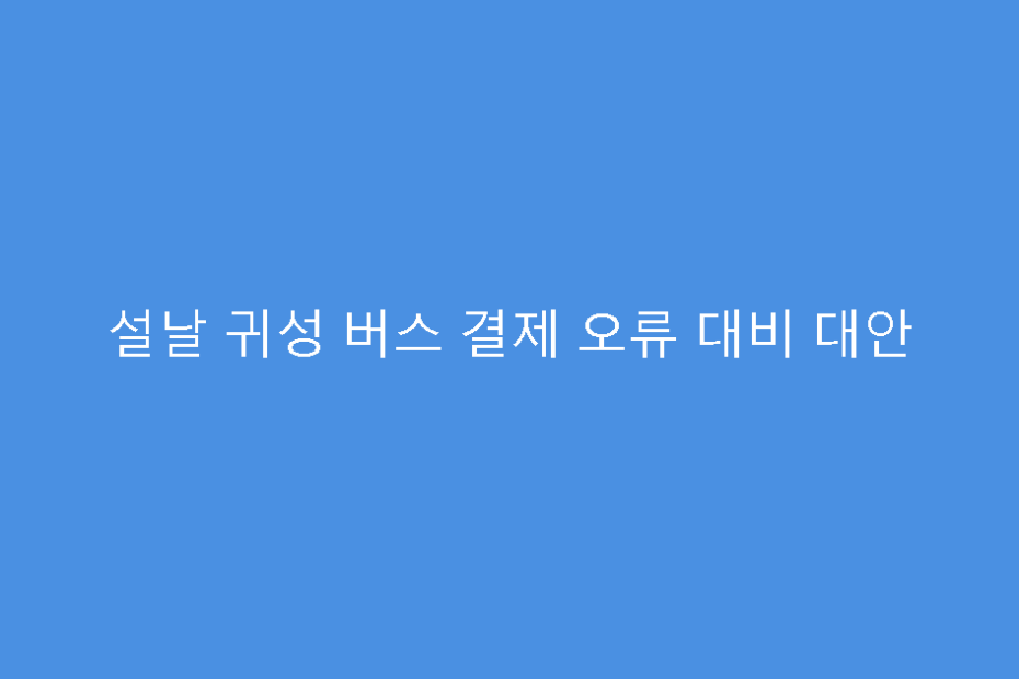 설날 귀성 버스 결제 오류 대비 대안