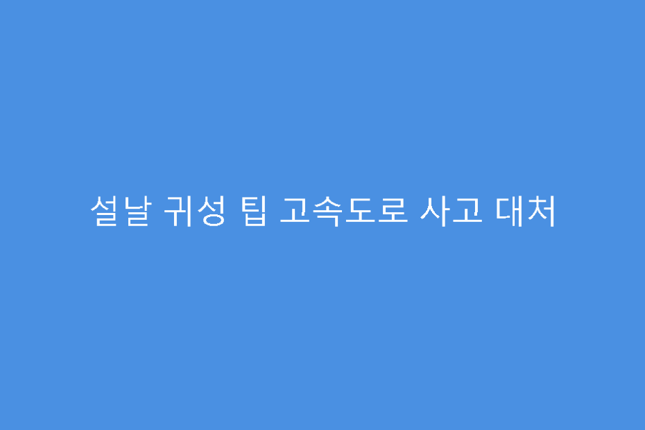 설날 귀성 팁 고속도로 사고 대처