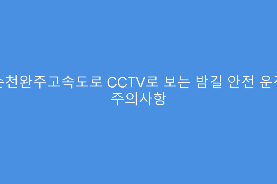 순천완주고속도로 CCTV로 보는 밤길 안전 운전 주의사항