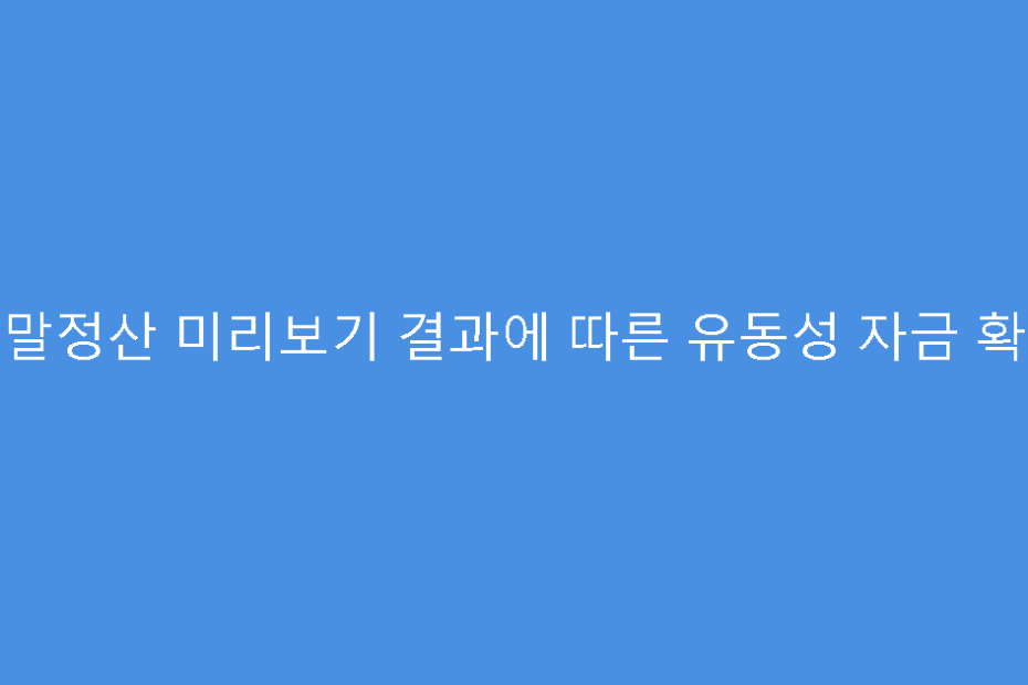 연말정산 미리보기 결과에 따른 유동성 자금 확보