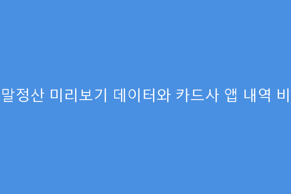 연말정산 미리보기 데이터와 카드사 앱 내역 비교
