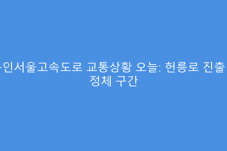 용인서울고속도로 교통상황 오늘: 헌릉로 진출입 정체 구간
