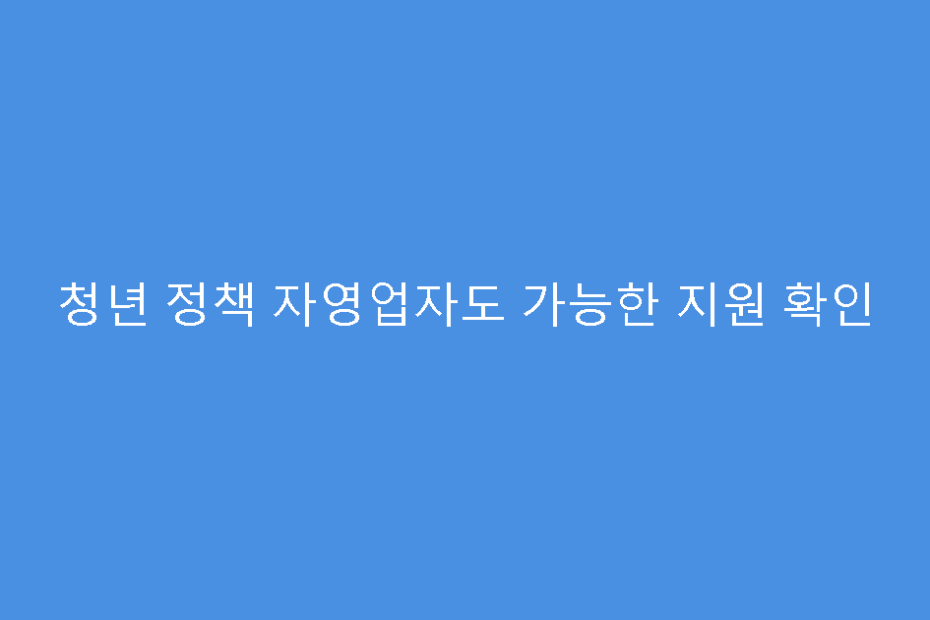 청년 정책 자영업자도 가능한 지원 확인