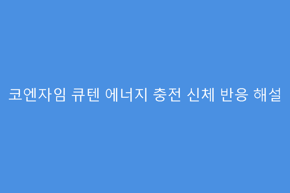 코엔자임 큐텐 에너지 충전 신체 반응 해설