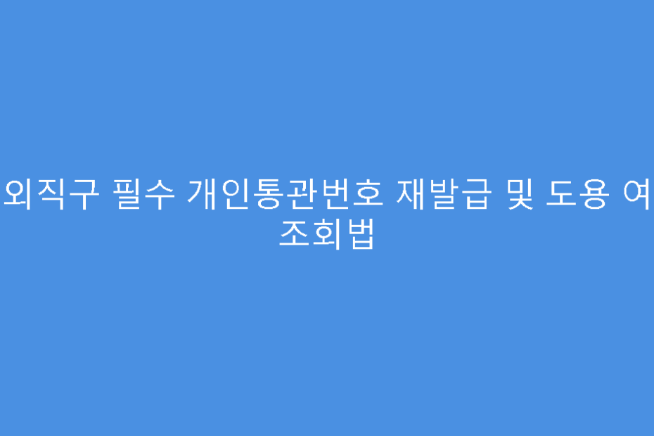 해외직구 필수 개인통관번호 재발급 및 도용 여부 조회법