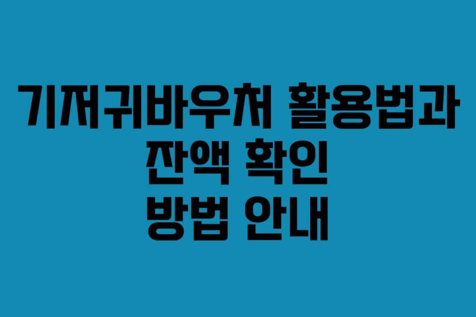 기저귀바우처 활용법과 잔액 확인 방법 안내