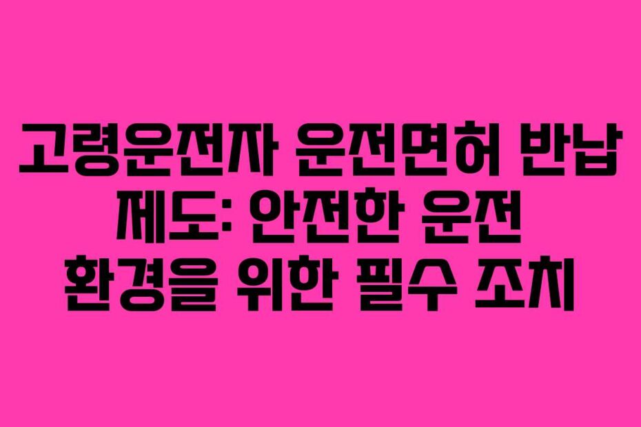 고령운전자 운전면허 반납 제도: 안전한 운전 환경을 위한 필수 조치