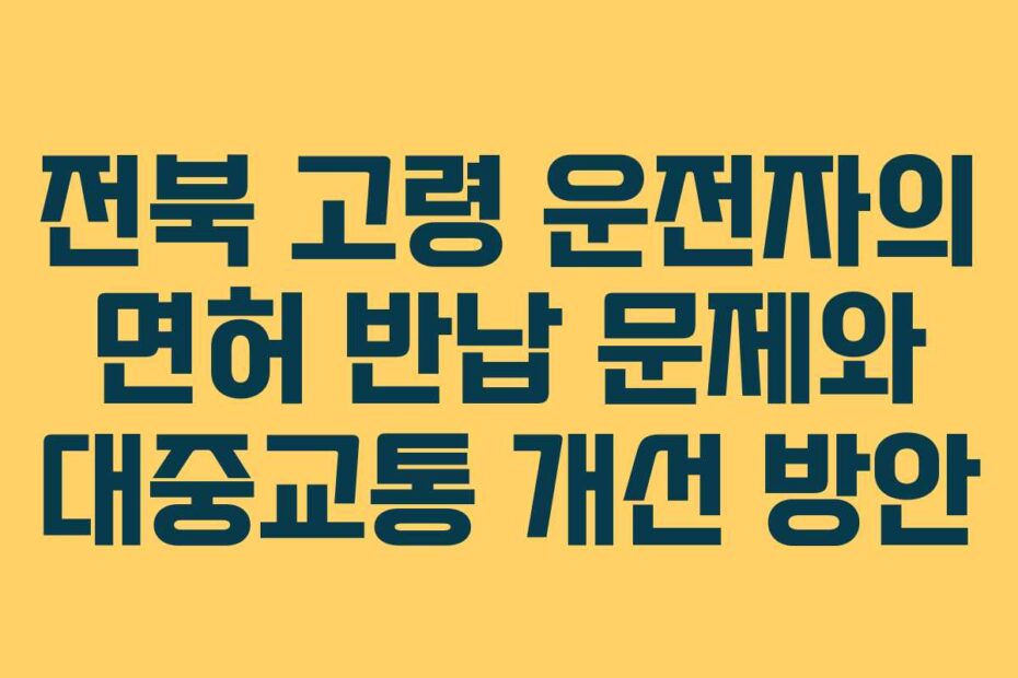 전북 고령 운전자의 면허 반납 문제와 대중교통 개선 방안