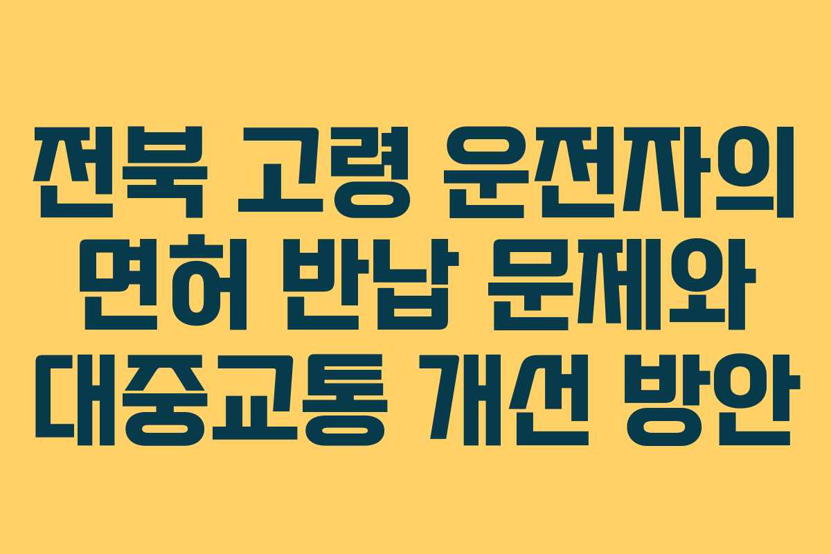전북 고령 운전자의 면허 반납 문제와 대중교통 개선 방안