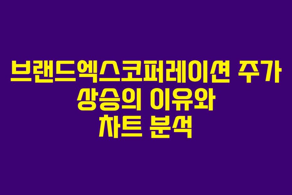브랜드엑스코퍼레이션 주가 상승의 이유와 차트 분석
