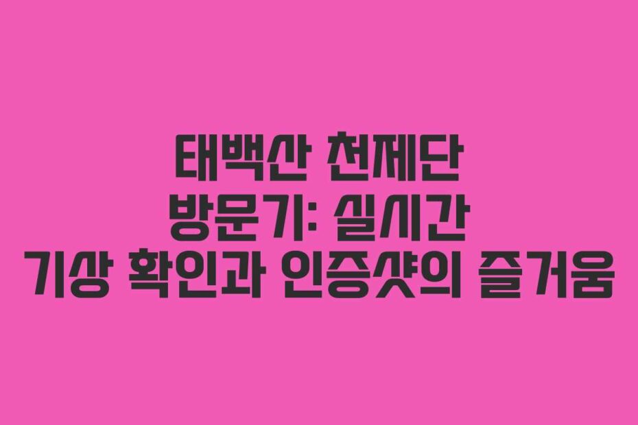 태백산 천제단 방문기: 실시간 기상 확인과 인증샷의 즐거움