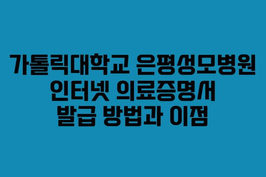 가톨릭대학교 은평성모병원 인터넷 의료증명서 발급 방법과 이점