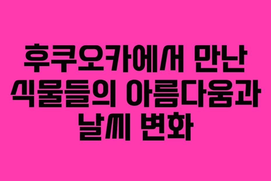 후쿠오카에서 만난 식물들의 아름다움과 날씨 변화