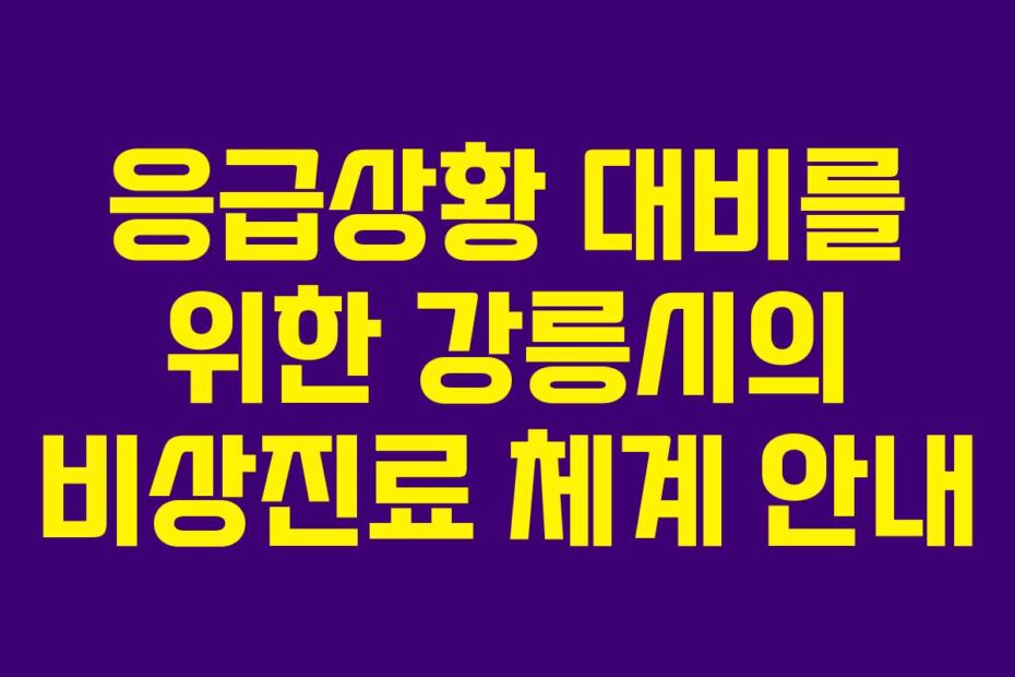 응급상황 대비를 위한 강릉시의 비상진료 체계 안내