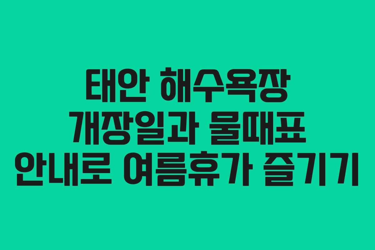 태안 해수욕장 개장일과 물때표 안내로 여름휴가 즐기기