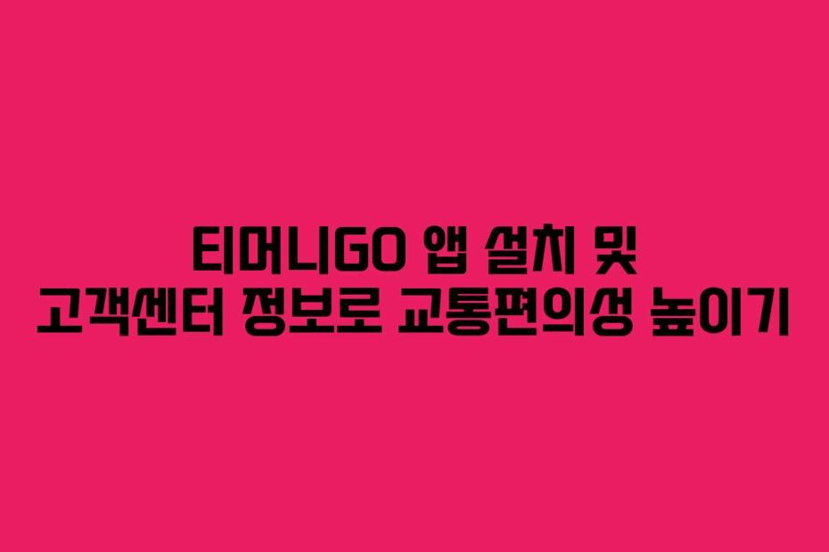 티머니GO 앱 설치 및 고객센터 정보로 교통편의성 높이기