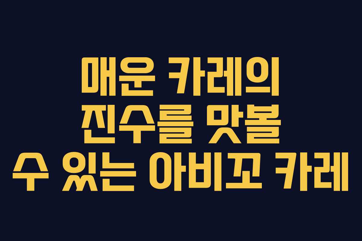 매운 카레의 진수를 맛볼 수 있는 아비꼬 카레