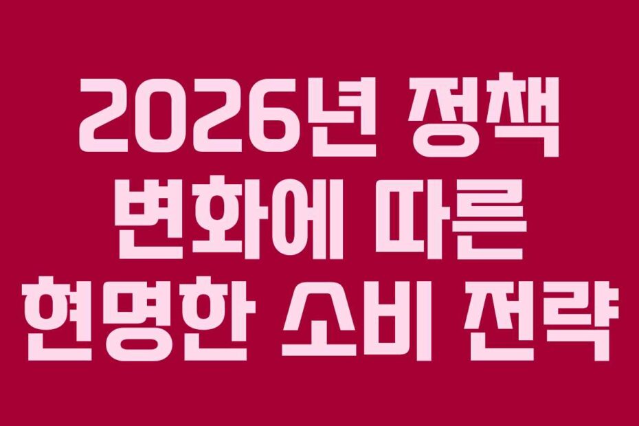 2026년 정책 변화에 따른 현명한 소비 전략