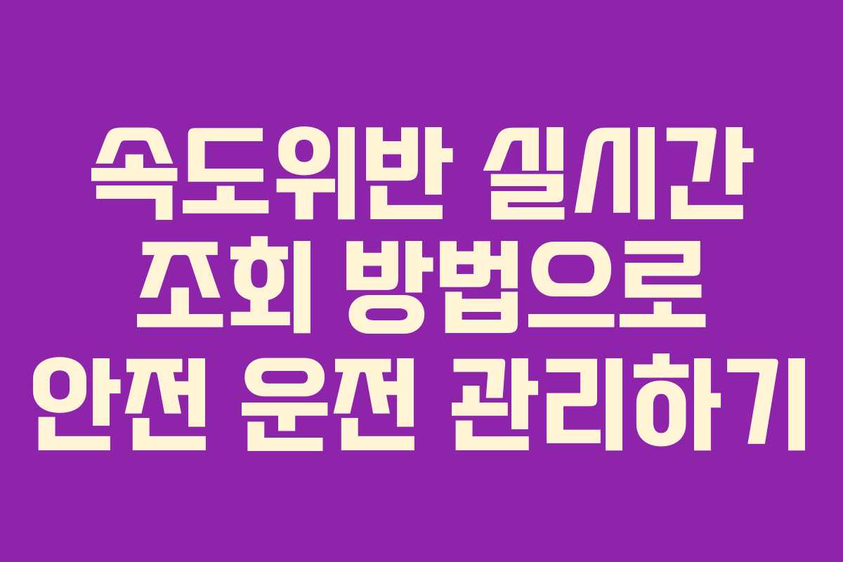 속도위반 실시간 조회 방법으로 안전 운전 관리하기