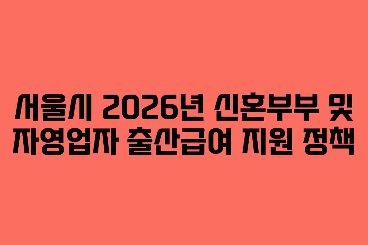 서울시 2026년 신혼부부 및 자영업자 출산급여 지원 정책