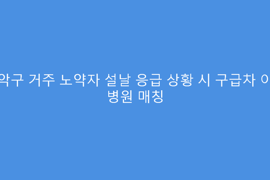 관악구 거주 노약자 설날 응급 상황 시 구급차 이송 병원 매칭