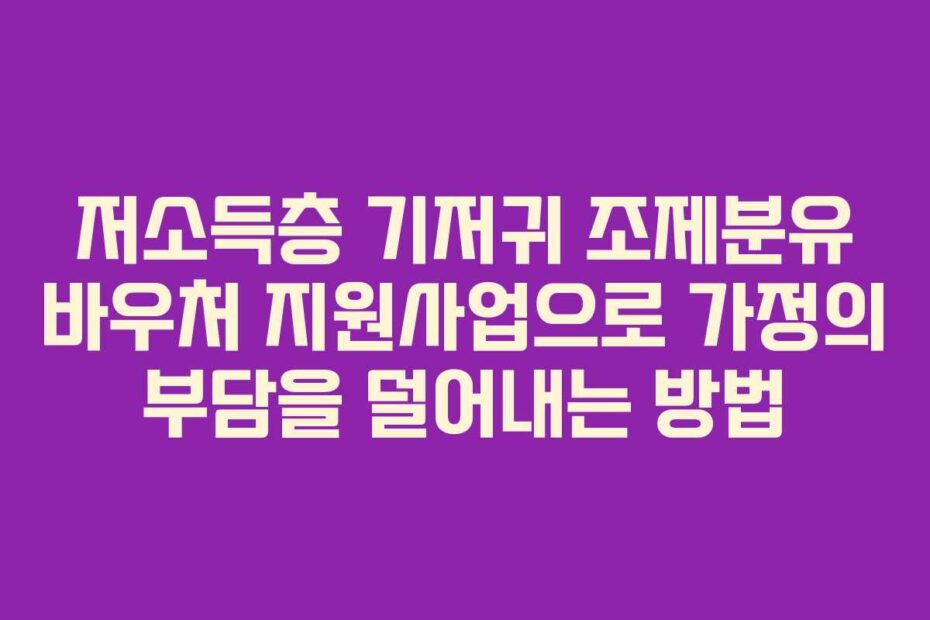 저소득층 기저귀 조제분유 바우처 지원사업으로 가정의 부담을 덜어내는 방법