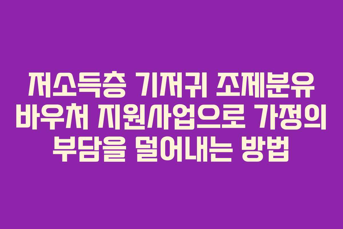 저소득층 기저귀 조제분유 바우처 지원사업으로 가정의 부담을 덜어내는 방법