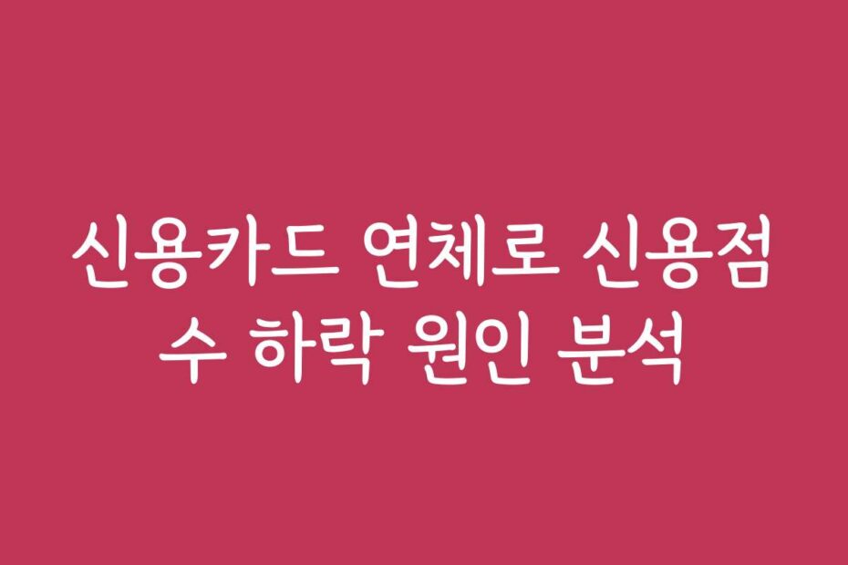 신용카드 연체로 신용점수 하락 원인 분석