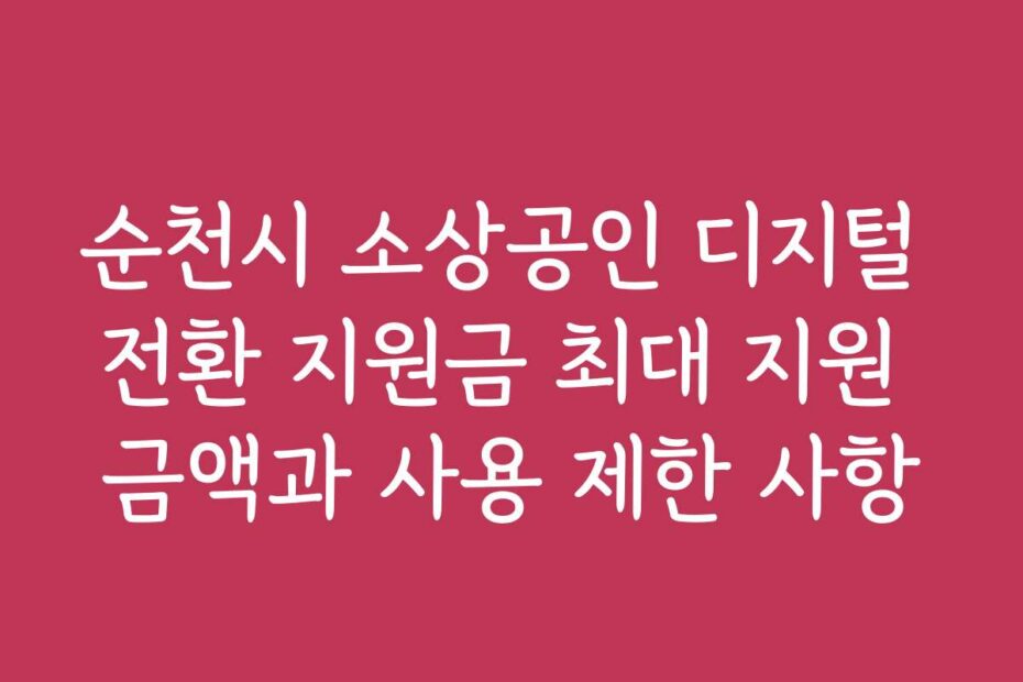 순천시 소상공인 디지털 전환 지원금 최대 지원 금액과 사용 제한 사항