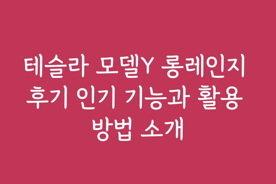 테슬라 모델Y 롱레인지 후기 인기 기능과 활용 방법 소개